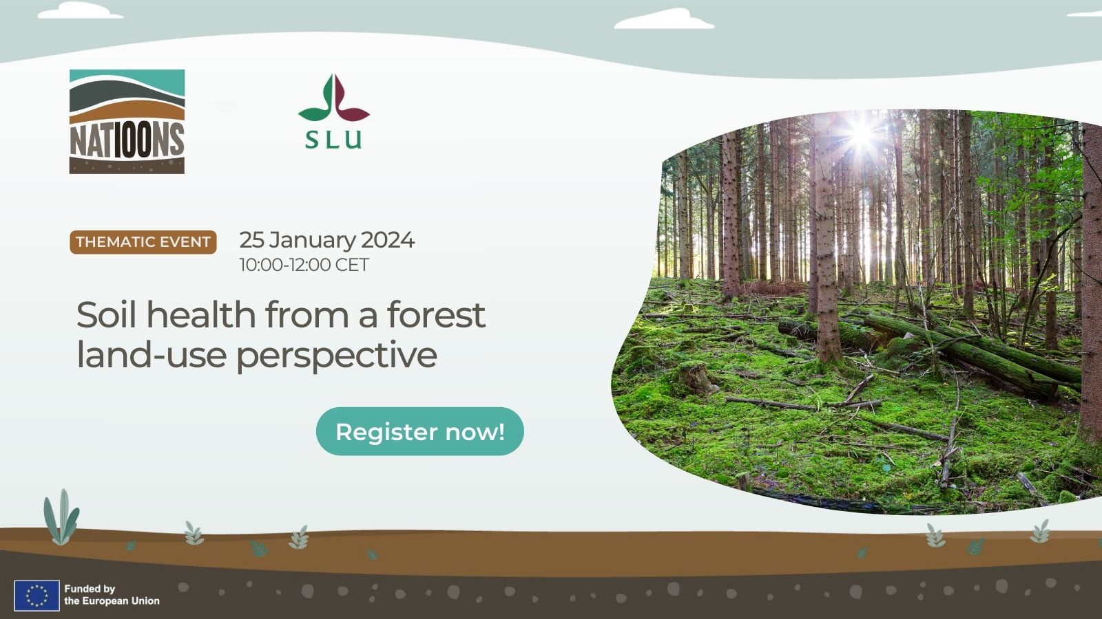 Soil health from a forestry perspective - banner